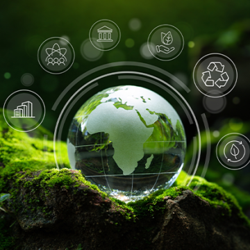 Mossy green background with a globe in the middle with different imagery outlining the globe