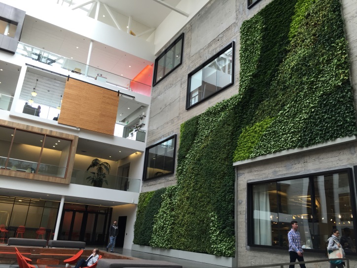 Airbnb’s atrium housing one of the largest living walls in California