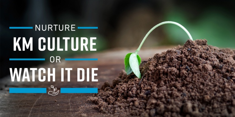 How to Foster a KM Culture