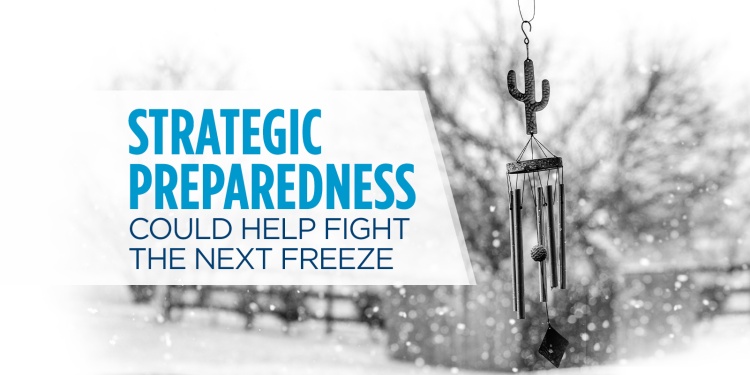 Unprecedented Freeze Shows Strategic Preparedness is Critical