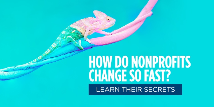 
<span>3 Ways to Make Organizational Agility a Reality</span>
