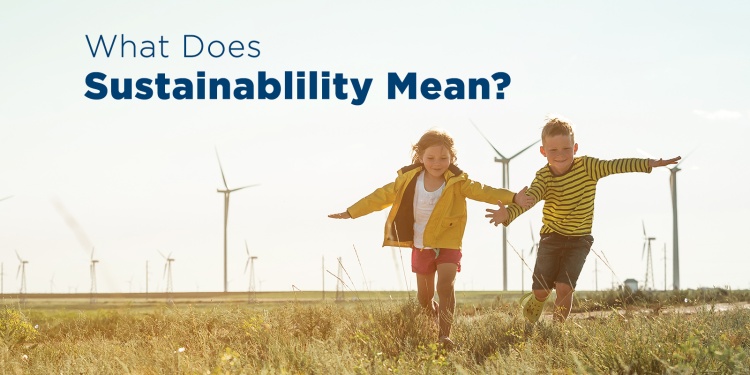 Lasting Sustainability Needs These 4 Components