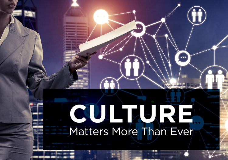 3 Key Lessons APQC Members Taught Us About Organizational Culture