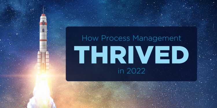 Process Management Perseverance: Trends and Research in 2022