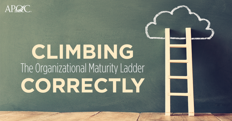 How do I climb the organizational maturity ladder?