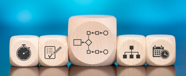 How to Leverage Process Frameworks PPM