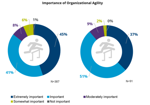 Importance of Agility 