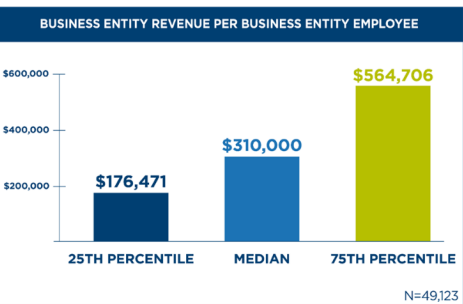 Business Entity Revenue Per Business Employee