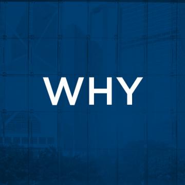 Image with the word "why"
