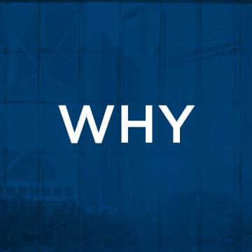 Image with the word "why"
