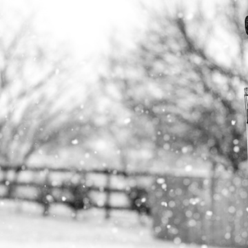 Strategic Preparedness Could Help Fight The Next Freeze