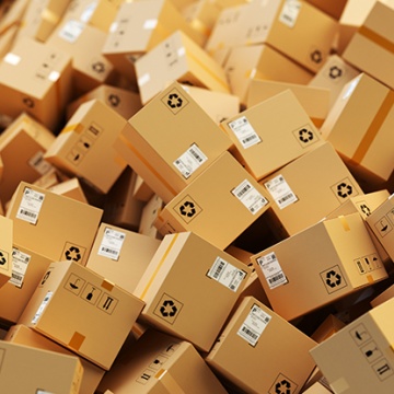 Learning From Supply Chain Chaos 