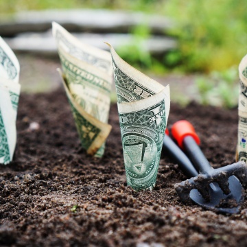 Image of money coming out of the soil