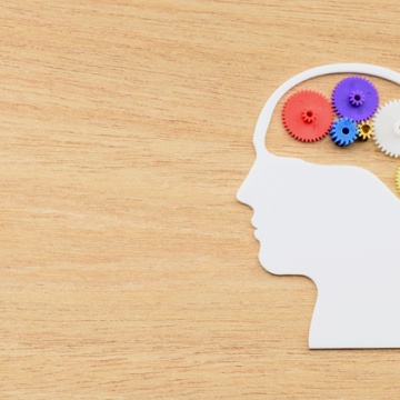 Image of a person's hear wiyh colorful gears