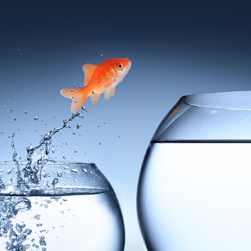 Organizations Must Change or Die