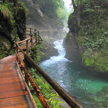 graphic, bridge over a stream