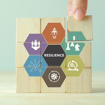 graphic, Balancing Efficiency and Flexibility in Logistics