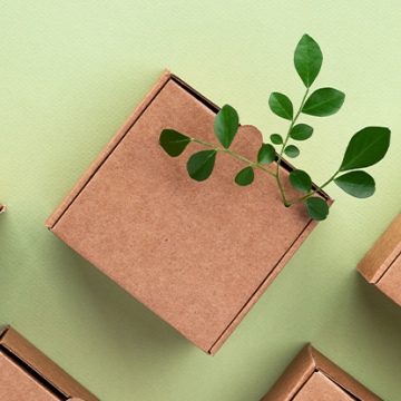 plant growing on the sidewalk, Supply Chains Go Green Packing Materials