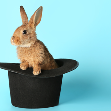 Talent Acquisition Secrets 