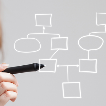 What is a Business Process Owner?