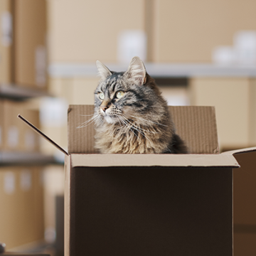 4 Reasons Centralized Procurement Delivers Better Results