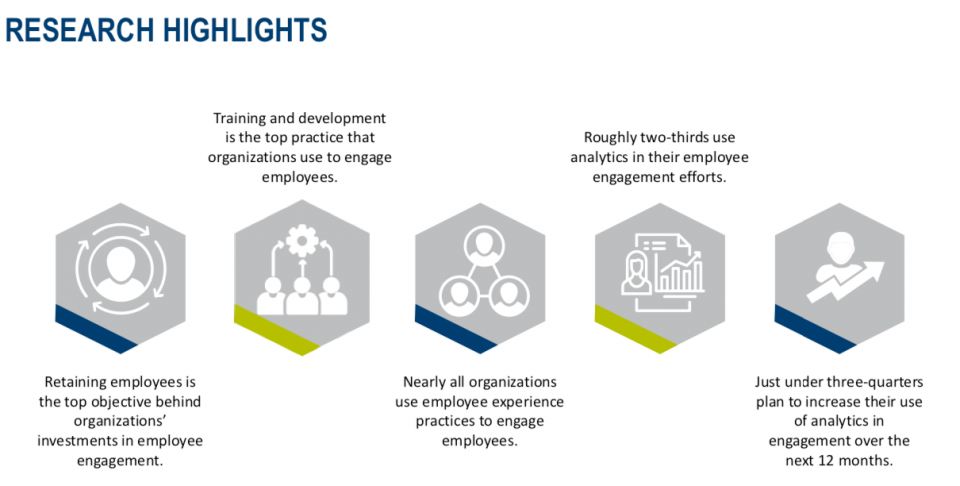 Research Highlights of Employee Experience